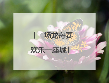 一场龙舟赛 欢乐一座城