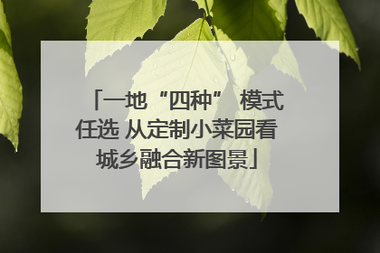一地“四种” 模式任选 从定制小菜园看城乡融合新图景