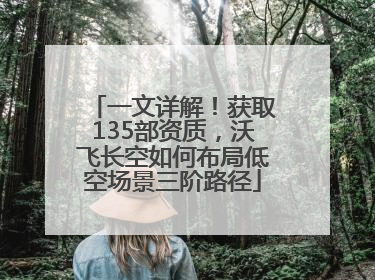 一文详解！获取135部资质，沃飞长空如何布局低空场景三阶路径