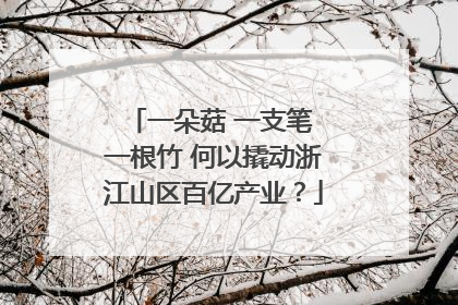 一朵菇 一支笔 一根竹 何以撬动浙江山区百亿产业？