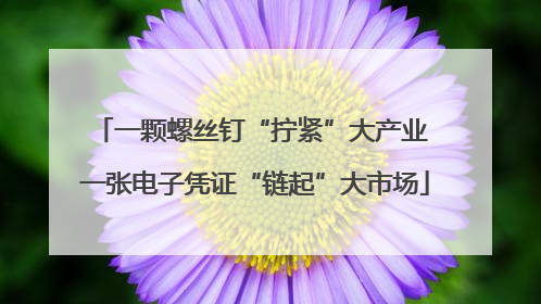 一颗螺丝钉“拧紧”大产业 一张电子凭证“链起”大市场