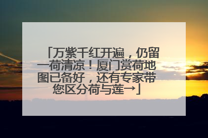 万紫千红开遍，仍留一荷清凉！厦门赏荷地图已备好，还有专家带您区分荷与莲→