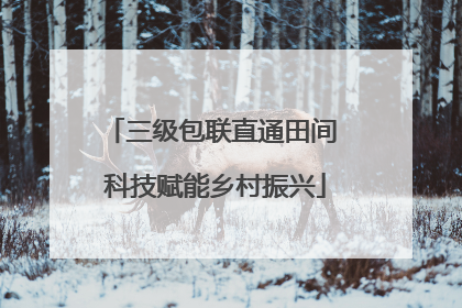 三级包联直通田间 科技赋能乡村振兴