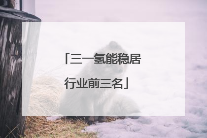 三一氢能稳居行业前三名