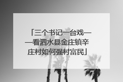 三个书记一台戏——看泗水县金庄镇辛庄村如何强村富民