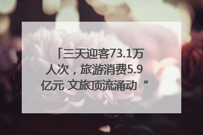 三天迎客73.1万人次，旅游消费5.9亿元 文旅顶流涌动“江宁style”