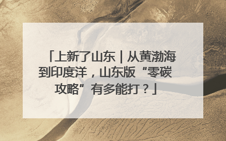 上新了山东｜从黄渤海到印度洋，山东版“零碳攻略”有多能打？