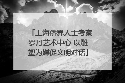 上海侨界人士考察罗丹艺术中心 以雕塑为媒促文明对话