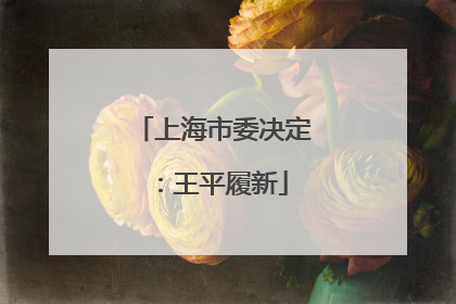 上海市委决定：王平履新