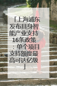 上海浦东发布具身智能产业支持16条政策：单个项目支持额度最高可达亿级