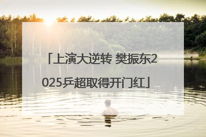 上演大逆转 樊振东2025乒超取得开门红