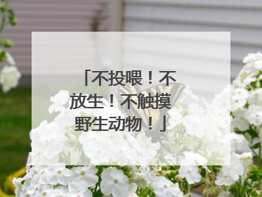 不投喂！不放生！不触摸野生动物！