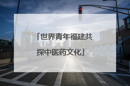 世界青年福建共探中医药文化