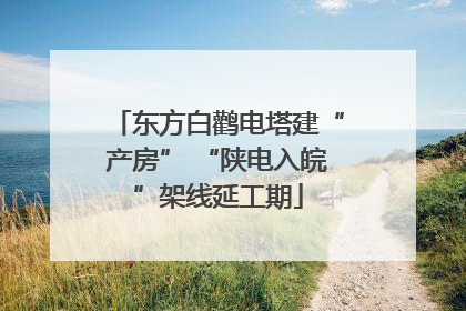东方白鹳电塔建“产房” “陕电入皖”架线延工期