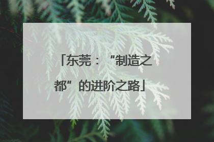 东莞：“制造之都”的进阶之路