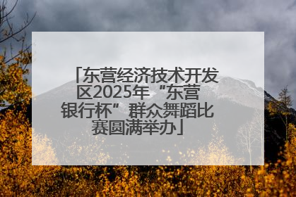 东营经济技术开发区2025年“东营银行杯”群众舞蹈比赛圆满举办