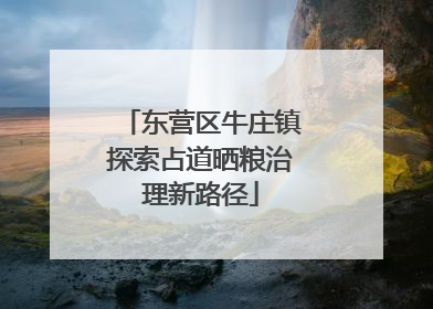 东营区牛庄镇探索占道晒粮治理新路径