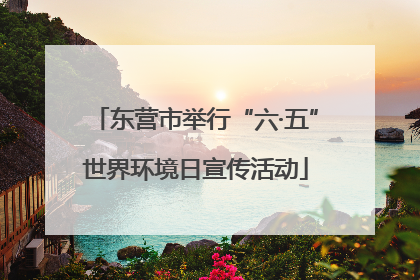 东营市举行“六·五”世界环境日宣传活动