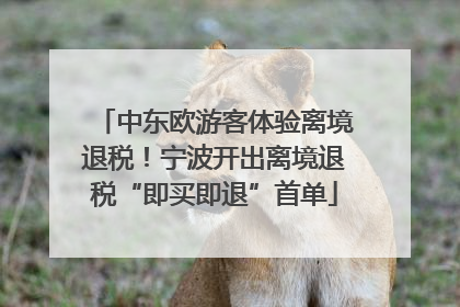 中东欧游客体验离境退税！宁波开出离境退税“即买即退”首单