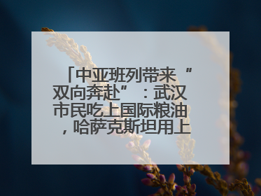 中亚班列带来“双向奔赴”：武汉市民吃上国际粮油，哈萨克斯坦用上鄂产光电屏