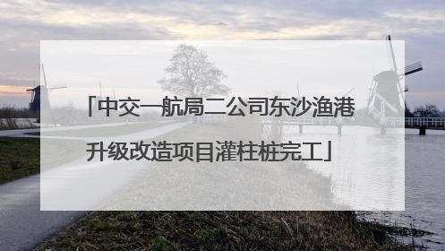 中交一航局二公司东沙渔港升级改造项目灌柱桩完工