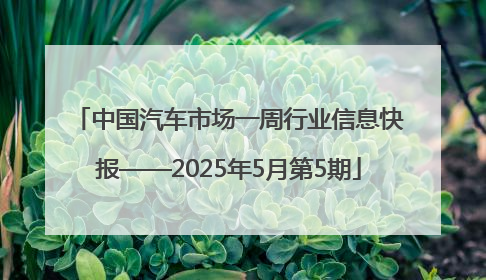 中国汽车市场一周行业信息快报——2025年5月第5期