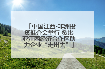 中国江西-非洲投资推介会举行 赞比亚江西经济合作区助力企业“走出去”