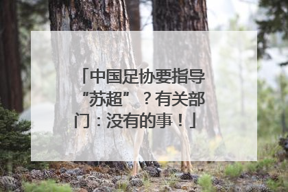中国足协要指导“苏超”？有关部门：没有的事！