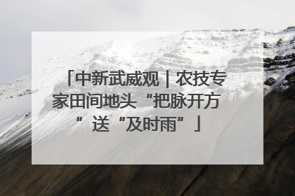 中新武威观｜农技专家田间地头“把脉开方”送“及时雨”