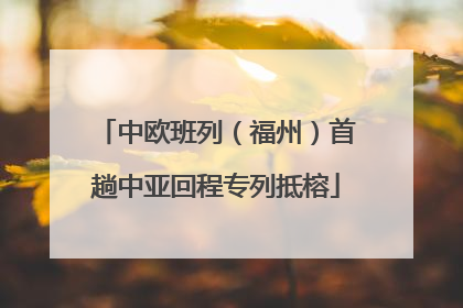 中欧班列（福州）首趟中亚回程专列抵榕