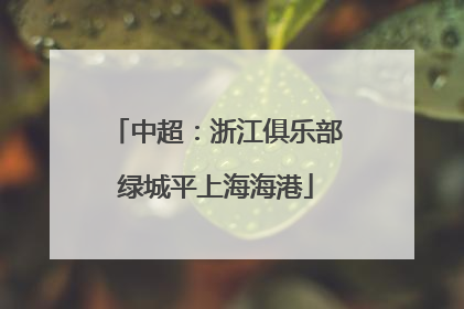 中超：浙江俱乐部绿城平上海海港