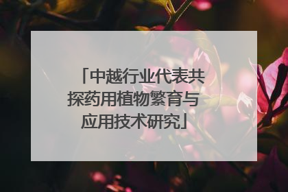 中越行业代表共探药用植物繁育与应用技术研究