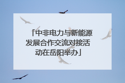 中非电力与新能源发展合作交流对接活动在岳阳举办
