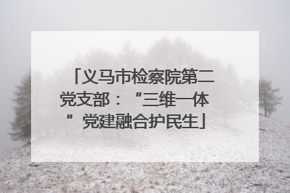 义马市检察院第二党支部：“三维一体”党建融合护民生