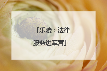 乐陵：法律服务进军营