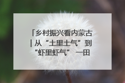 乡村振兴看内蒙古｜从“土里土气”到“虾里虾气” 一田双收模式火出圈