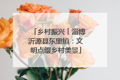 乡村振兴︱淄博沂源县东里镇：文明点缀乡村美景