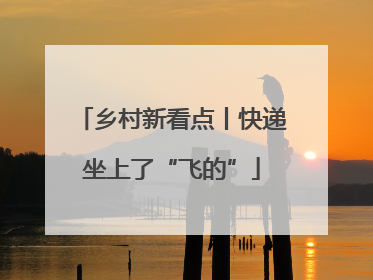 乡村新看点丨快递坐上了“飞的”