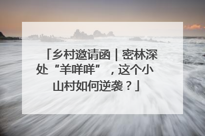乡村邀请函｜密林深处“羊咩咩”，这个小山村如何逆袭？