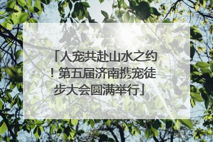 人宠共赴山水之约！第五届济南携宠徒步大会圆满举行