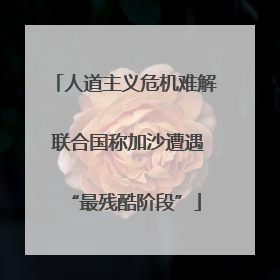 人道主义危机难解 联合国称加沙遭遇“最残酷阶段”