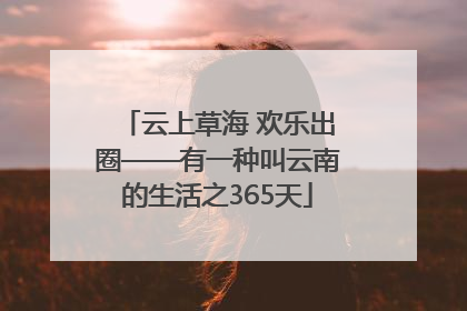 云上草海 欢乐出圈——有一种叫云南的生活之365天