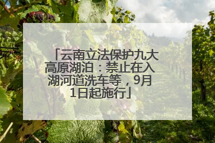 云南立法保护九大高原湖泊：禁止在入湖河道洗车等，9月1日起施行