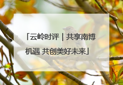 云岭时评｜共享南博机遇 共创美好未来