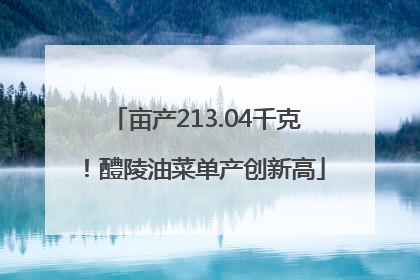 亩产213.04千克！醴陵油菜单产创新高