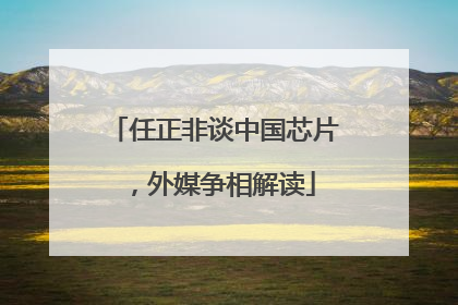 任正非谈中国芯片，外媒争相解读