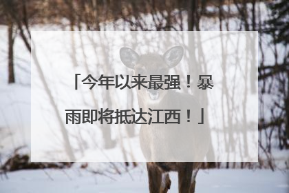 今年以来最强！暴雨即将抵达江西！