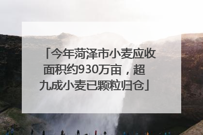 今年菏泽市小麦应收面积约930万亩，超九成小麦已颗粒归仓