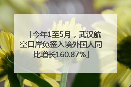 今年1至5月，武汉航空口岸免签入境外国人同比增长160.87%