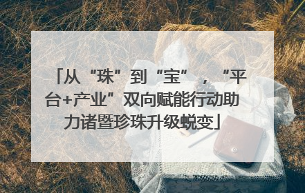 从“珠”到“宝”，“平台+产业”双向赋能行动助力诸暨珍珠升级蜕变